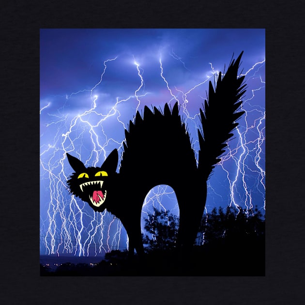 Cat Mom Crazy Cat Black Cat Lightning Night by Daphne R. Ellington